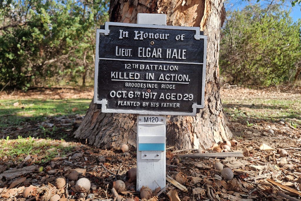 Memorial to Walter Horace Elgar Hale in King's Park